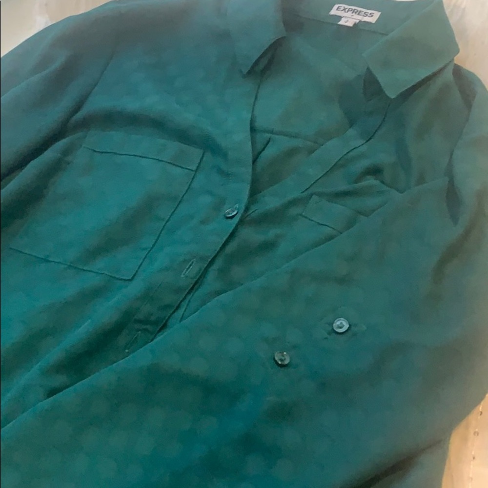 Express Button Down Blouse - image 2